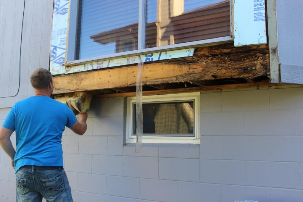 Rotted Window Frame & House Framing
